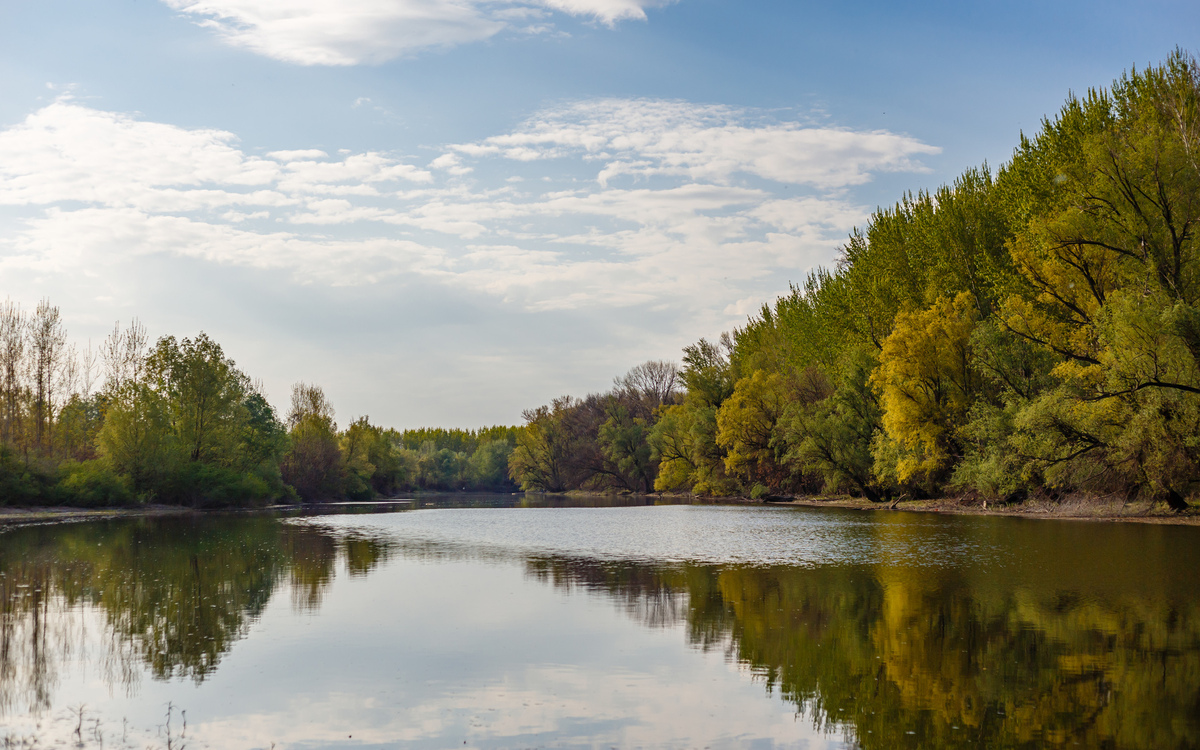 <p><strong>Мальовнича річка &ndash; гармонія природи та відпочинку</strong></p> <p><strong>Ідеальне місце для дозвілля</strong></p> <ul> <li>Чисте повітря та приголомшливі краєвиди</li> <li>Прогулянки, ранкові пробіжки та сімейний відпочинок</li> </ul> <p><strong>Активності для всіх</strong></p> <ul> <li>Пікніки на свіжому повітрі</li> <li>Риболовля та відпочинок біля води<strong><br /></strong></li> </ul> <p><strong>Атмосфера затишку та гармонії</strong></p> <ul> <li>Шум води заспокоює та дарує релакс</li> <li>Зелень та природа створюють унікальну атмосферу</li> </ul> <p><strong>City Villa Club</strong> &ndash; місце, де природа і комфорт поєднуються в ідеальній гармонії!</p>